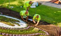 Private English Training Options for Landscaping Employees