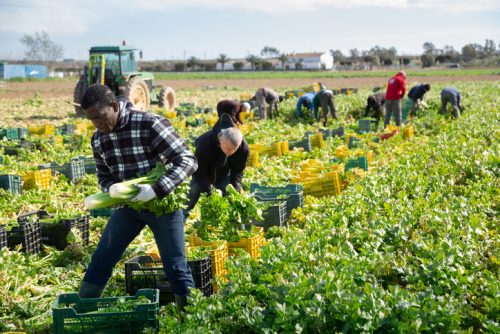 Our English Training For Farmers Helps Your Business Thrive