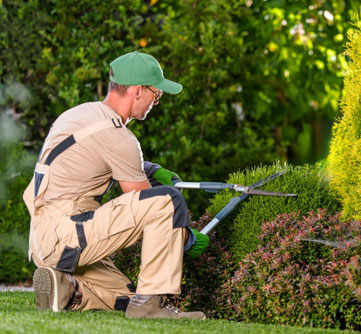 English for Landscaping Professionals